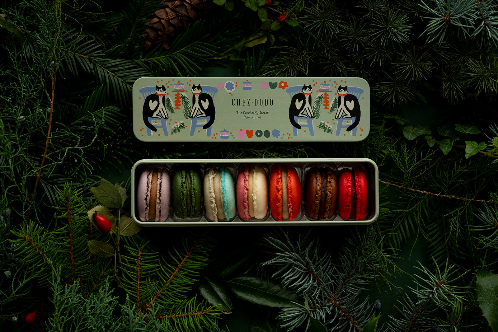 Macaron válogatás 'Cats' fémdobozban